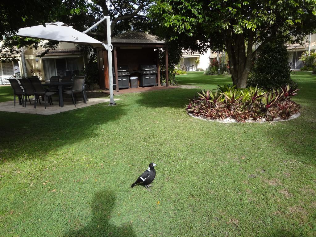נוסוויל Noosa Gardens Riverside Resort חדר תמונה